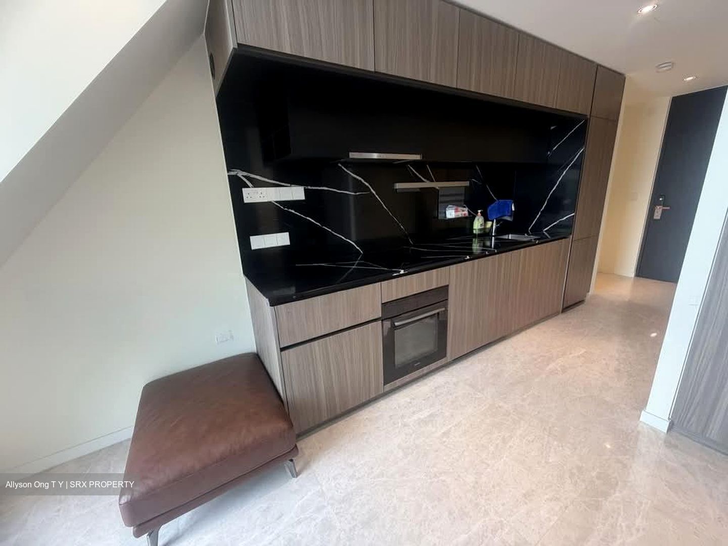 Irwell Hill Residences (D9), Apartment #601892581